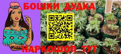 apvp Ставрополь