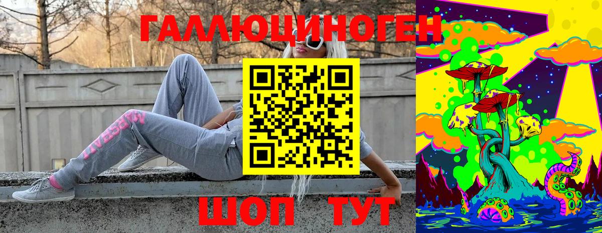Псилоцибиновые грибы Psilocybine cubensis Киреевск