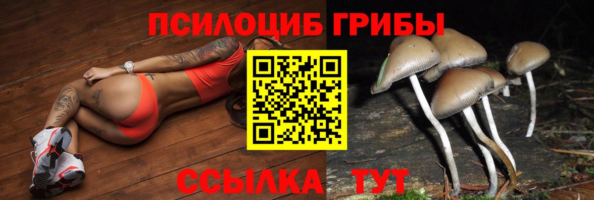 Галлюциногенные грибы Cubensis  Псилоцибиновые грибы мухоморы  Киреевск  Вход с VPN 