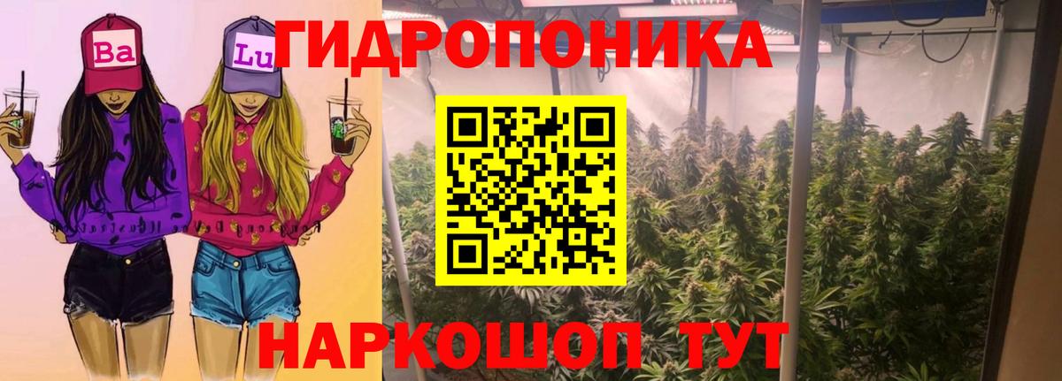 Бошки Шишки MAZAR Киреевск